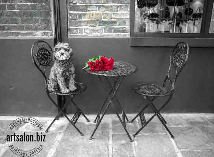 Dog Sitting on a chair with a banch of roses on a table