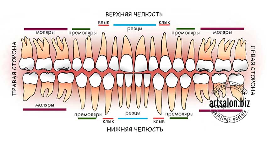 chelust-zubi
Цена зависит от размера, cовременная картина-Европанель, супер модный стиль, Печать, покрытие матовый защитный лак, можно протирать (любая печать без лака, со временем выцветает) Заказ принимается после согласования всех детапей, размер, цена, предоплата. Оплата в Узбекистане в сумах по Гос. курсу, Visa, Российские Рубли. заказ можно прислать в Telegram, WhatsApp +998 90 975-10-05
21x30см 4$.....
42х30cm 7$.....
60х40cm15$.....
60х60cm15$.....
50х70cm17$.....
60х80cm 20$.....
60х90cm 20$.....
60x100cm 25$.....