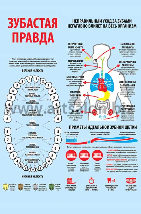 zubastaya-pravda Bumajniy plakat ili evropanel