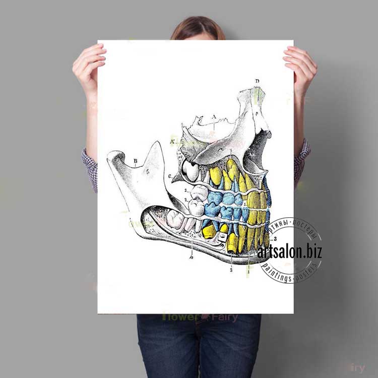 zubnoy-plakat